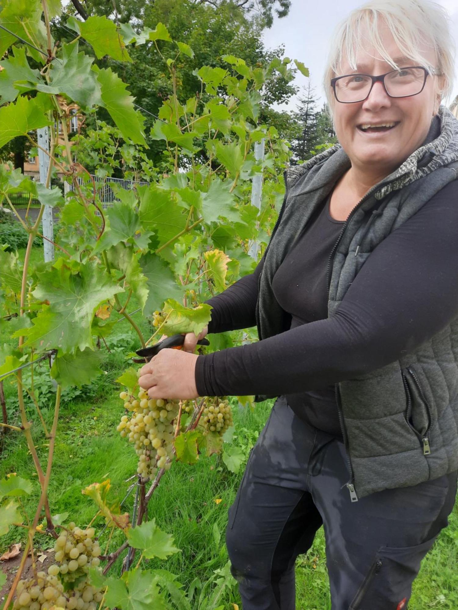 Ferienwohnung Weingut Lahmer August Kretzschau Zewnętrze zdjęcie