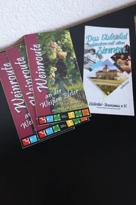 Ferienwohnung Weingut Lahmer August Kretzschau Zewnętrze zdjęcie