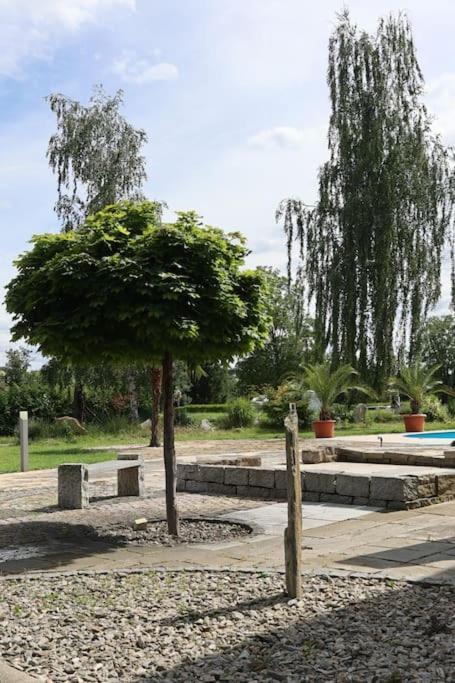 Ferienwohnung Weingut Lahmer August Kretzschau Zewnętrze zdjęcie